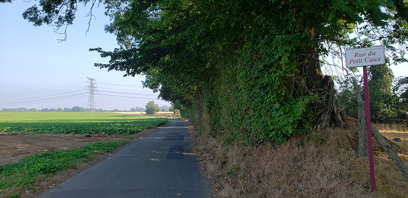 Rue du Petit Caux